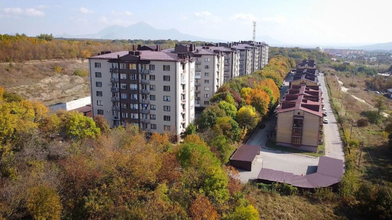 Кленовая роща